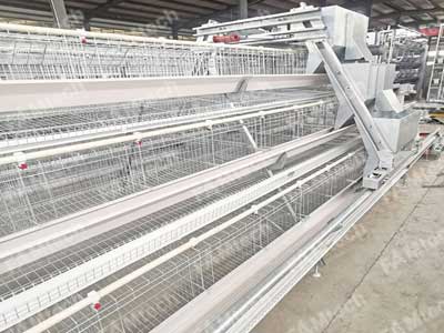 A layer battery cage