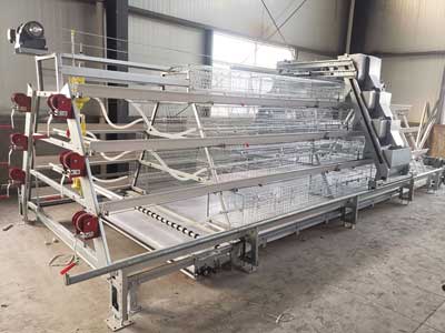 A type broiler cage best sale