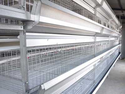 H frame broiler cage system for sale