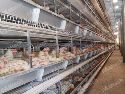 H type layer battery cage