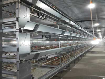 poultry farm design battery cage