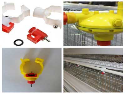 broiler cage drinking system