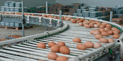 egg collection machine