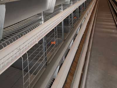 layer cage feed door