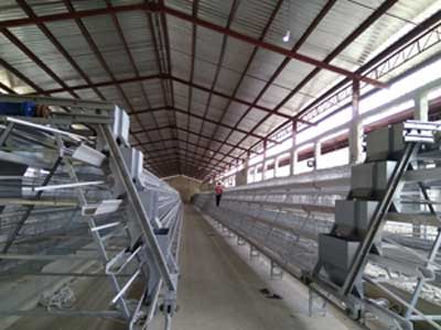 layer cages for sale africa