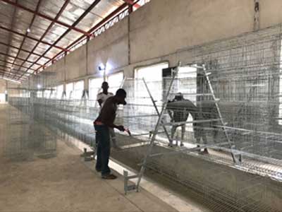 layer cages for sale easy install