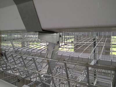 layer cages for sale egg protection line