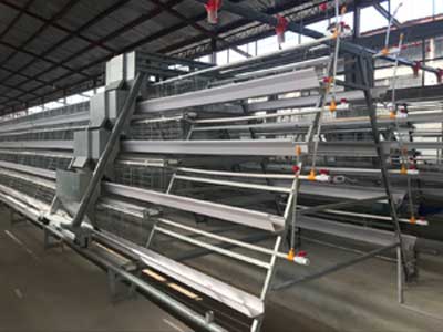 layer cages for sale system