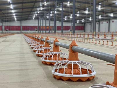 poultry floor system