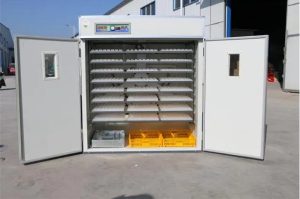 commercial poultry incubator