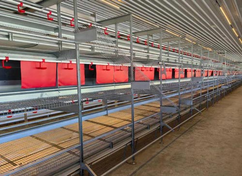 aviary system for laying hens