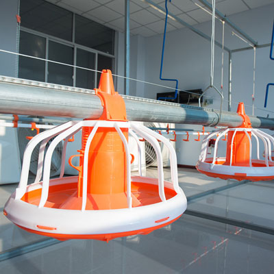 automatic-chicken-feeder-system automatic chicken feeder system