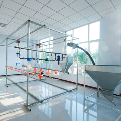 automatic-feeding-system-for-poultry automatic feeding system for poultry