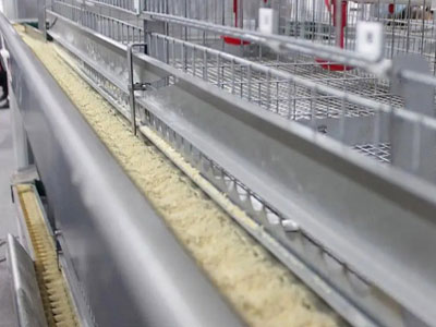 chain-feeder-system-poultry chain feeder system poultry