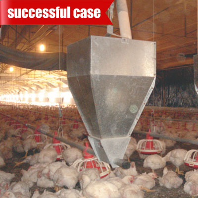 chicken-floor-system-feeding chicken floor system feeding