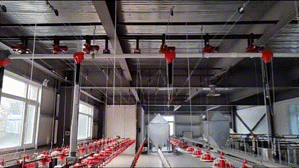 poultry-pan-feeding-system poultry pan feeding system