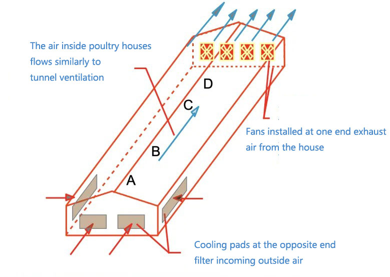 air-in-poultry-house air in poultry house