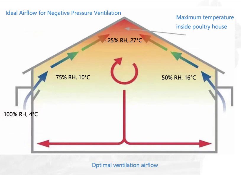automatic-climate-control-system-in-poultry-farmautomatic-climate-control-system-in-poultry-farm automatic climate control system in poultry farmautomatic climate control system in poultry farm