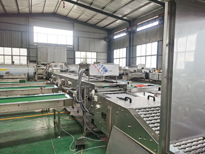 automatic-egg-sorting-machine automatic egg sorting machine