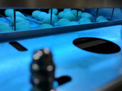 disinfection-egg-machine disinfection egg machine