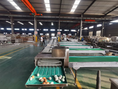 egg-grading-machine egg grading machine