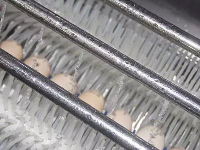 egg-grading-washing-machine egg grading washing machine