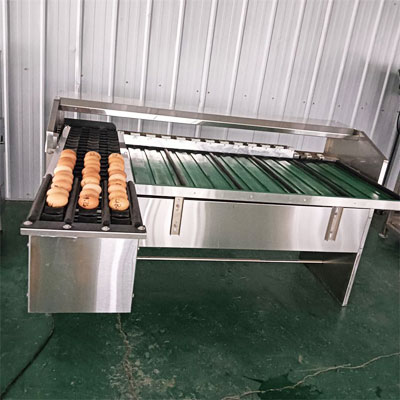 egg-sorting-machine-price egg sorting machine price