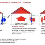 automatic climate control system in poultry farm