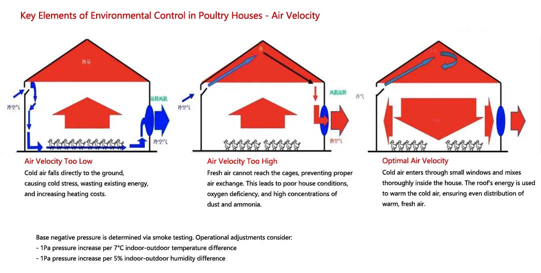key-elements-automatic-climate-control-system-in-poultry-farm key elements automatic climate control system in poultry farm