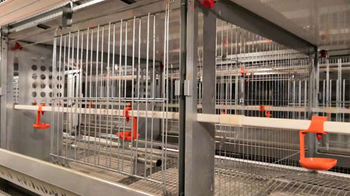breeder cage for sale
