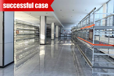 chicken-breeding-cage-for-sale chicken breeding cage for sale