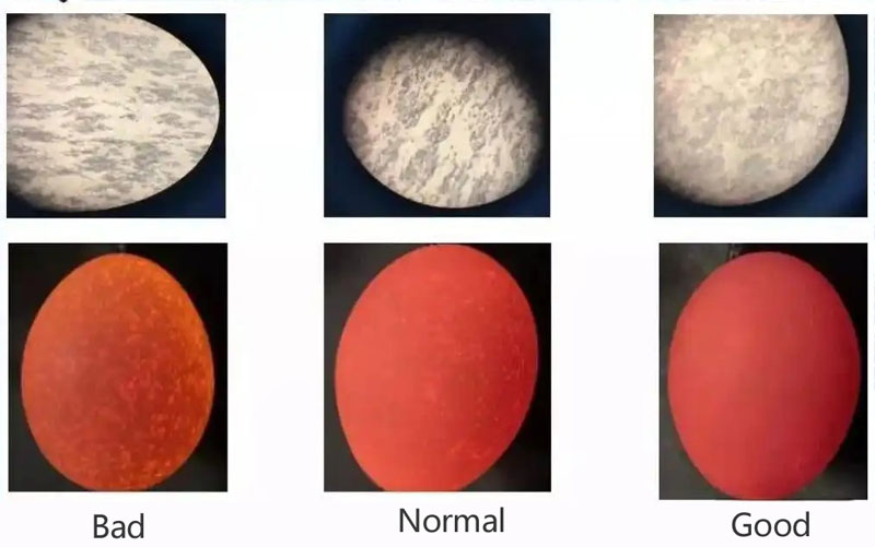 egg-quality egg quality