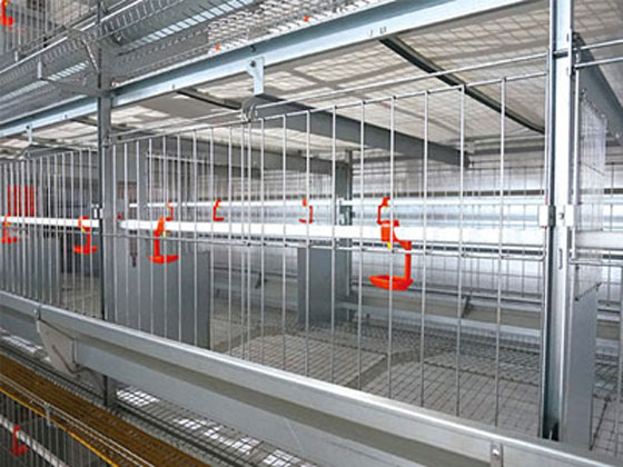 poultry-breeding-cages-chicken poultry breeding cages chicken