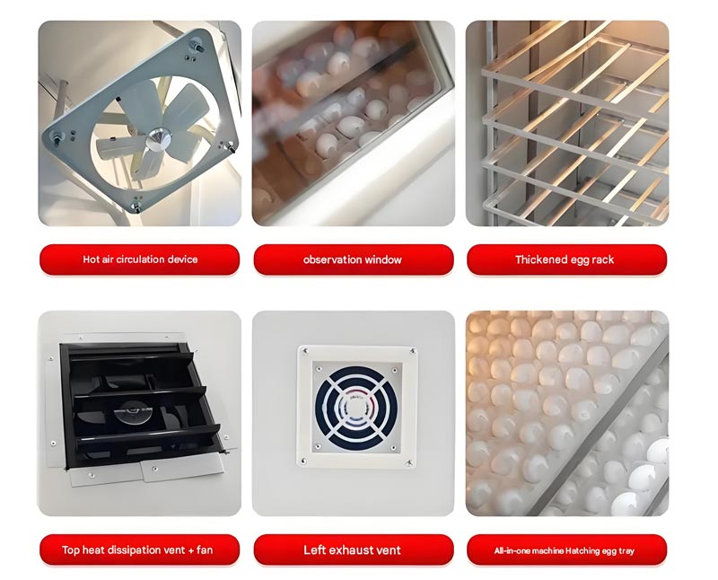 commercial-poultry-incubator-details commercial poultry incubator details