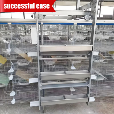 best-pigeon-cage best pigeon cage