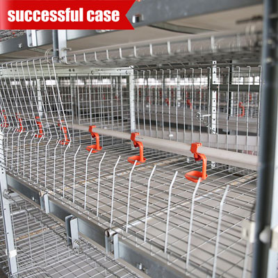 broiler-cage-system-cost