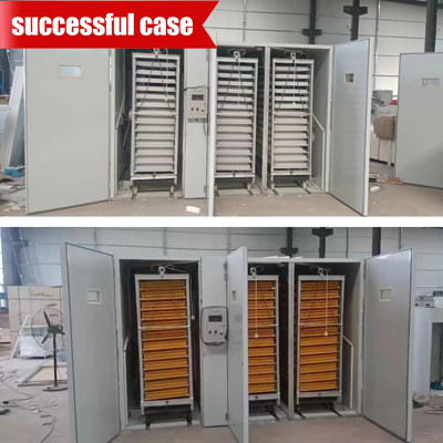 large-cabinet-incubator large cabinet incubator