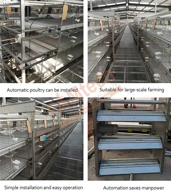 pigeon-breeding-cage-for-sale pigeon breeding cage for sale