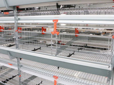 pigeon-cage-for-poultry-breeding pigeon cage for poultry breeding