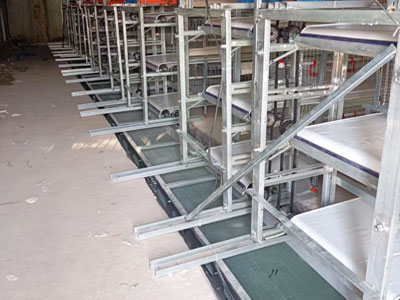 pigeon-cage-manure-cleaning pigeon cage manure cleaning