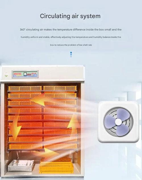 quail-cabinet-incubator quail cabinet incubator