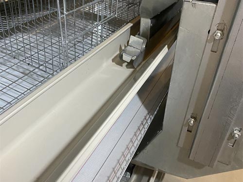 auto-feeding-for-rtl-chicken-cage