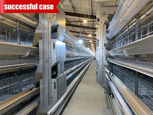 h-type-rtl-cage h type rtl cage