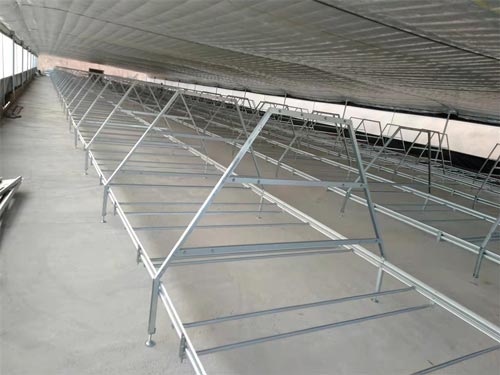 rtl-cage-for-sale rtl cage for sale