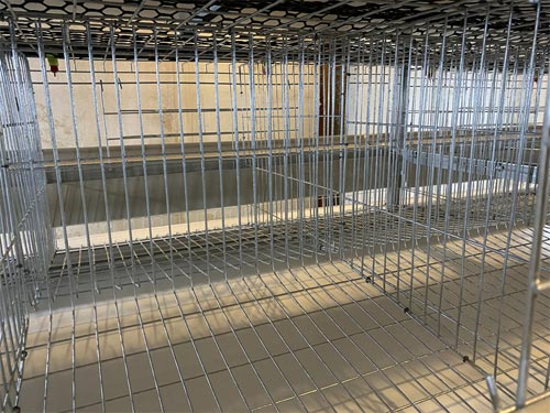 rtl-chicken-cage rtl chicken cage
