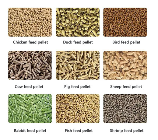 feed pellet
