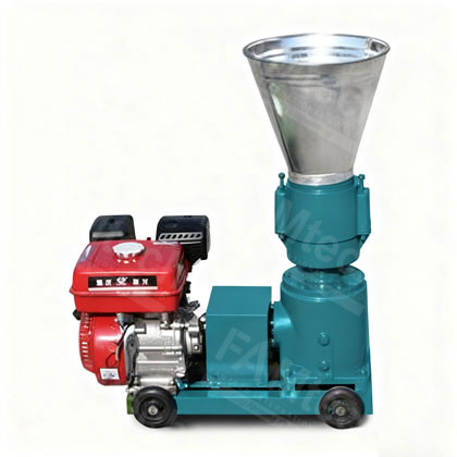 gasoline-engine-type gasoline engine type