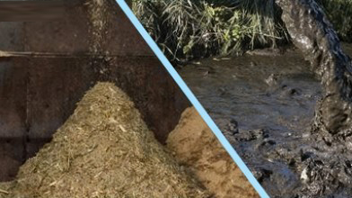 stainelss fermentation tank application