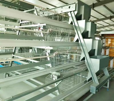 A-type-battery-cage-for-layers A type battery cage for layers