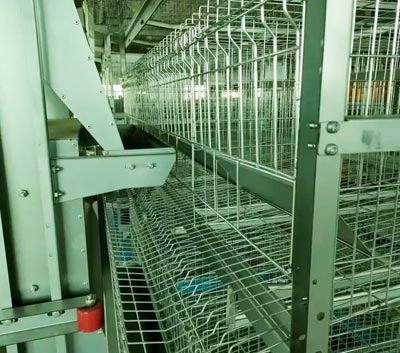 A-type-battery-cage-for-laying-hen A type battery cage for laying hen